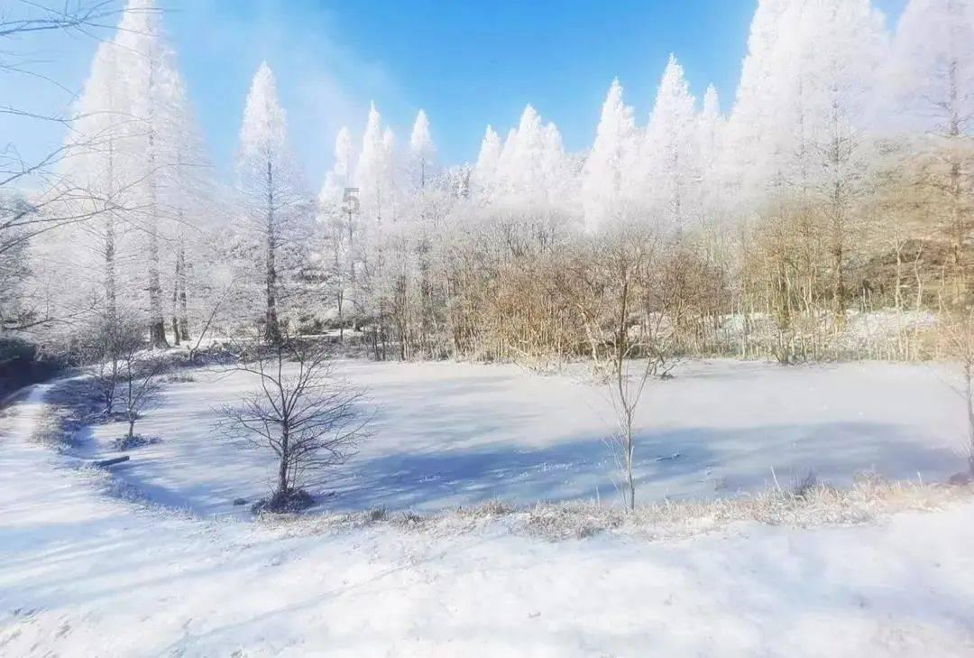 速滑世界杯盐湖城站混合接力项目，中国队获得金牌