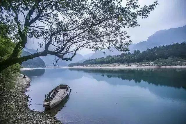 头发硬适合什么发型游戏画面