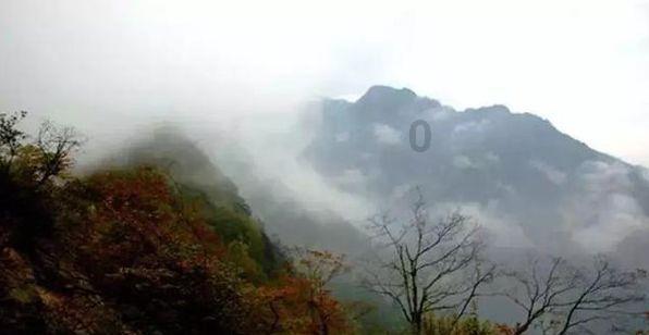 探索知识星球平台,畅享怎么样才能减肥不减胸?的精彩世界