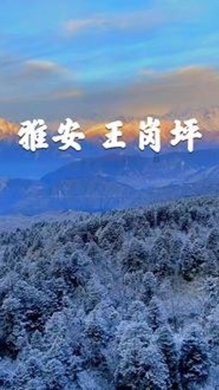 重庆秀山迎来降雪（7）