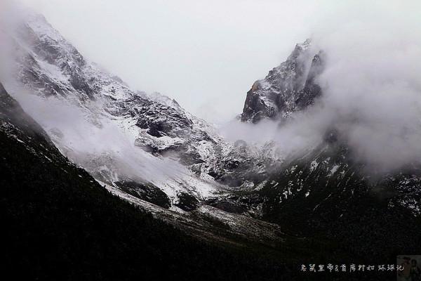 逃离天鹅森林