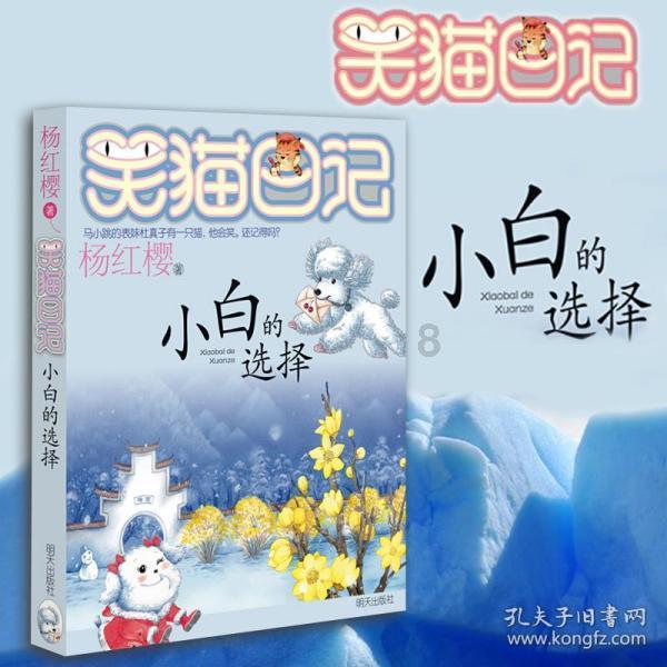美丽的夜晚