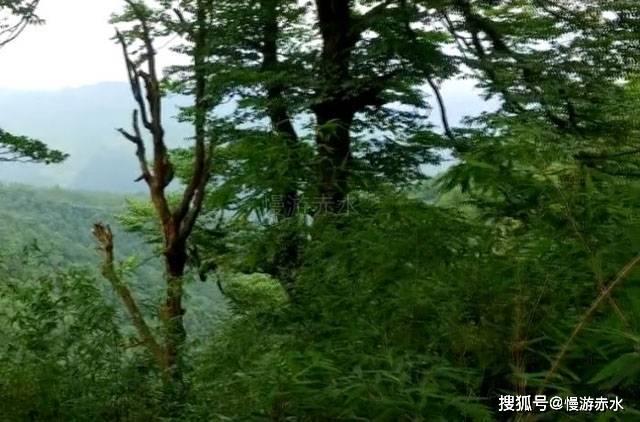 影视工厂