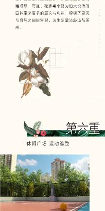 探索冷知识的重庆汽车违章查询平台,让你大开眼界!
