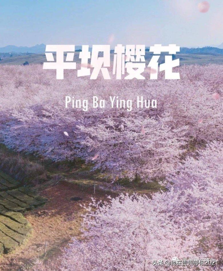 超三国无双2