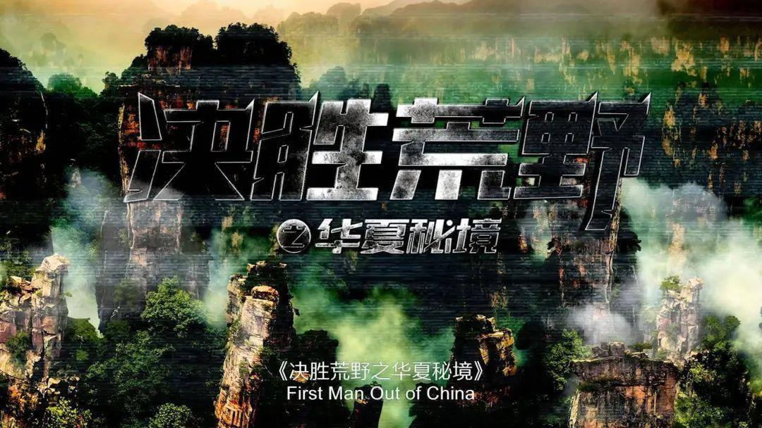拯救枯树