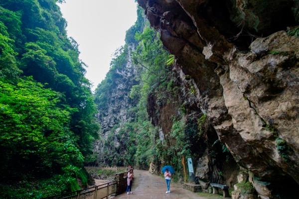 司马懿鹰视狼顾,处心积虑要夺曹魏江山,曹操祖孙三代为何没杀他