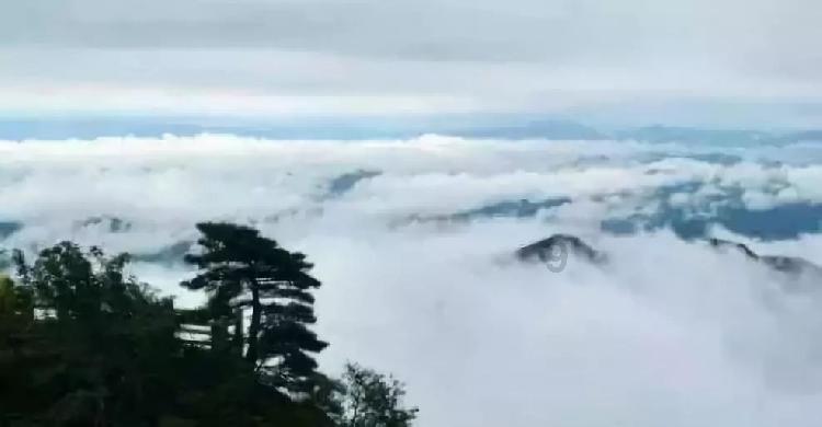 原神如何一天1600原石