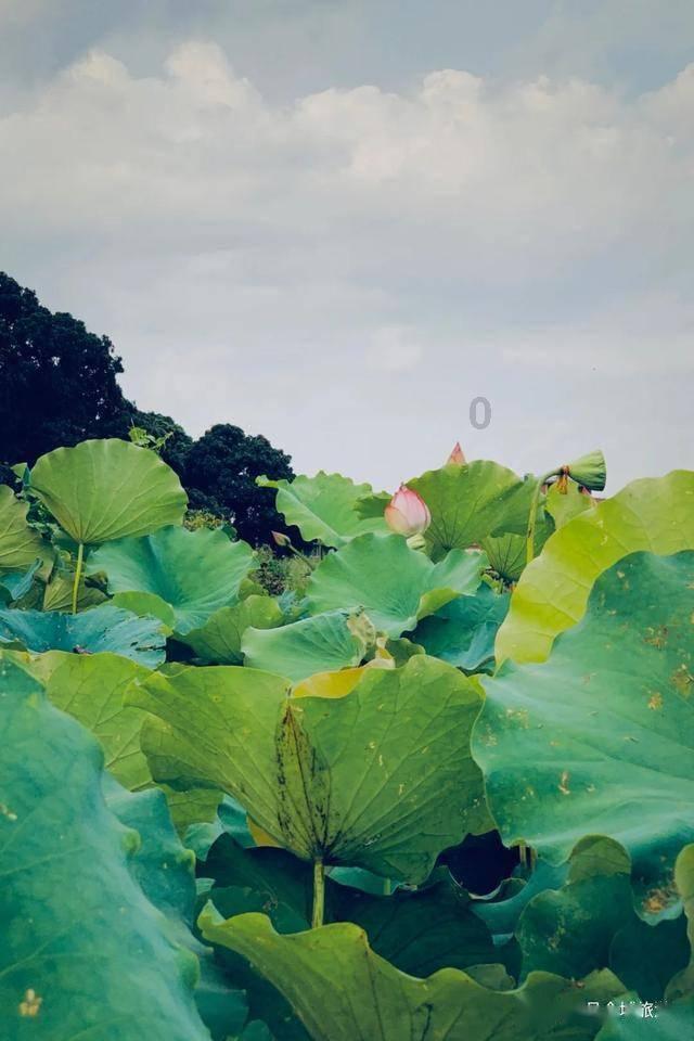 石器战争