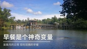 “遛狗不牵绳”在你身边常见吗？上次见是怎么一个情景？游戏画面