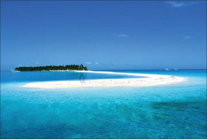 夏季热带海滩逃生