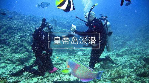 伊卡洛斯之子