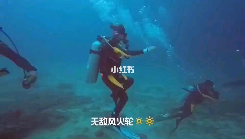 新岁序开!欢声笑语共话家乡美