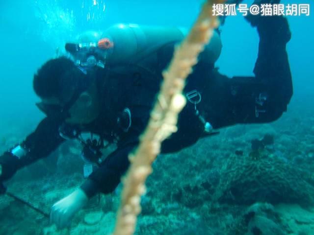 超三国无双6