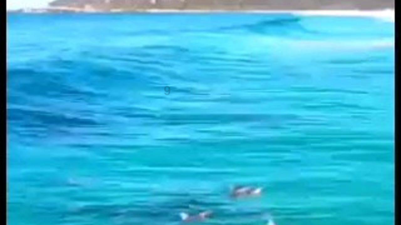 集装箱货运船