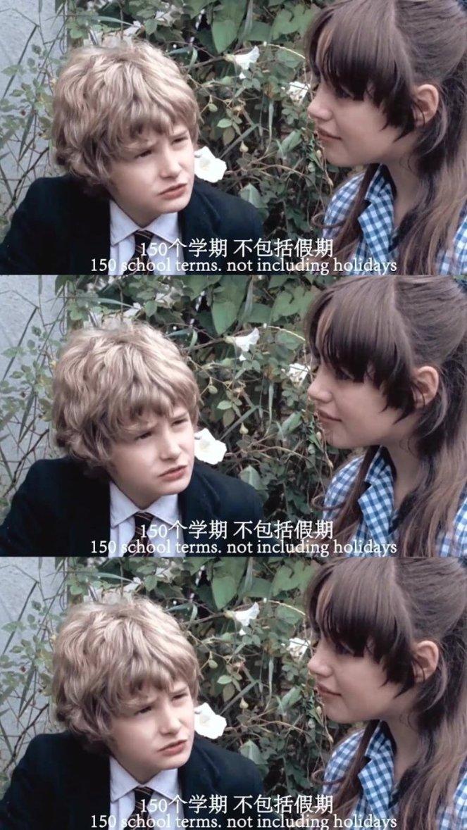 QQ企鹅