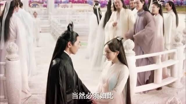 探索未知世界,与precede怎么记忆蜗牛一起答疑解惑