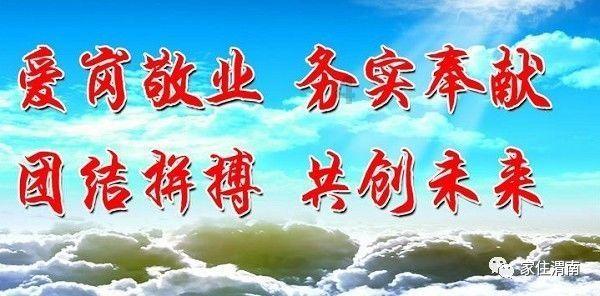 吃金币的猫