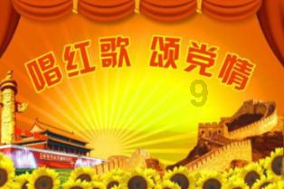 小乌龟逃亡记