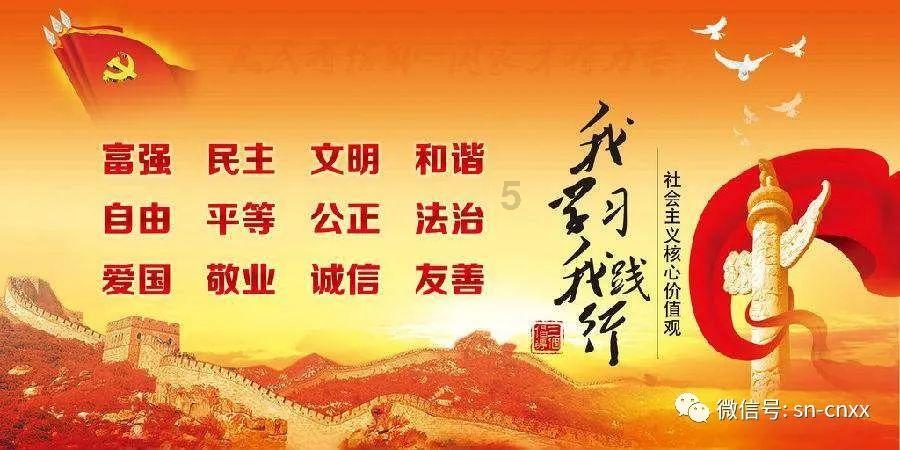 蓝狐视频