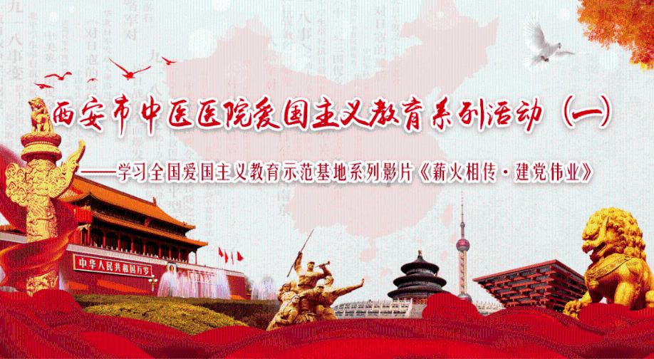 细胞分裂4