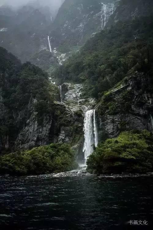 植物大战僵尸9