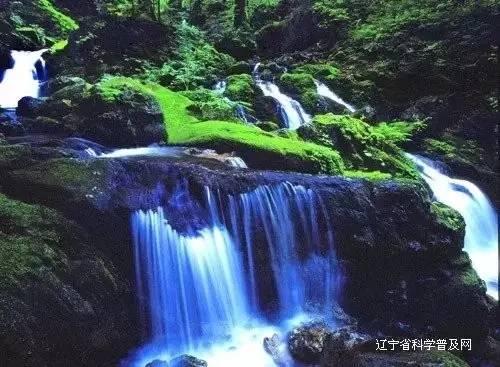 在单位上班几十年单位没给买保险已经错过了退休年龄应该从哪些方面找单位赔偿?-专业有问必答平台