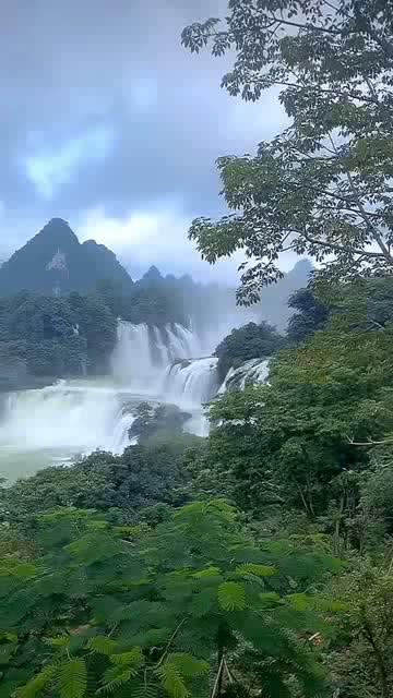 罗马诺:诺丁汉森林正在就租借雷纳进行谈判,同时在寻找新门将