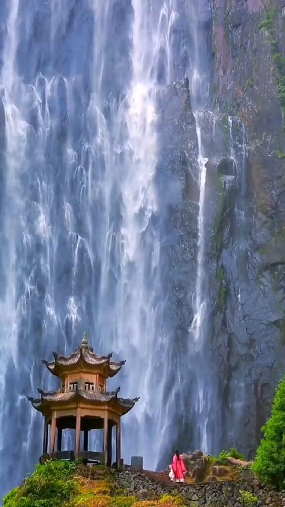 美妙森林找不同