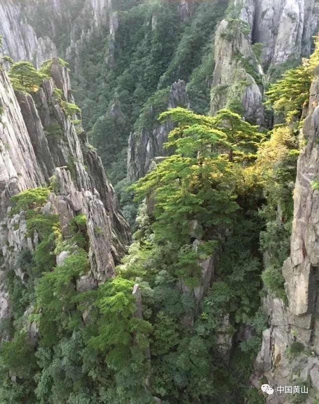 中电环保：目前，公司总股本为676,710,000股