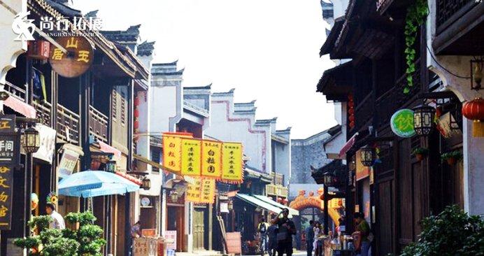 动物帮帮忙保卫家园