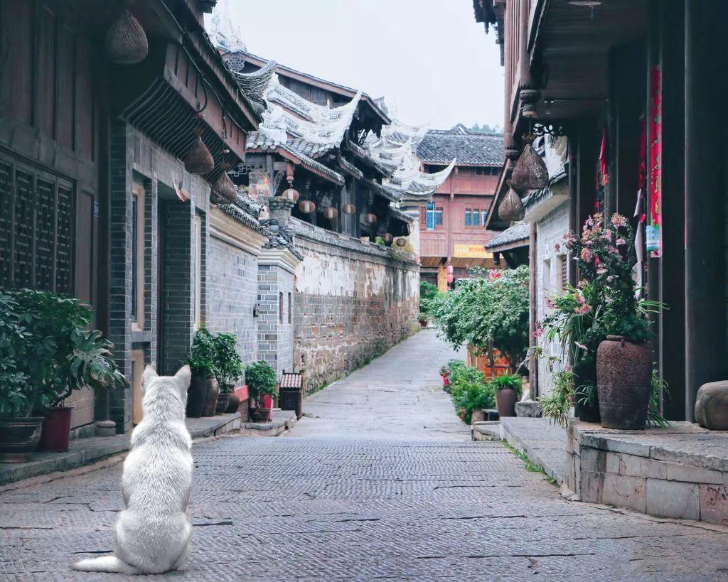 五彩弹珠祖玛