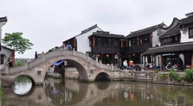 奥日与黑暗森林