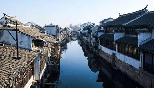 僵尸跳跳跳