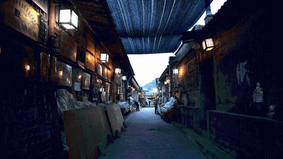呆萌动物园