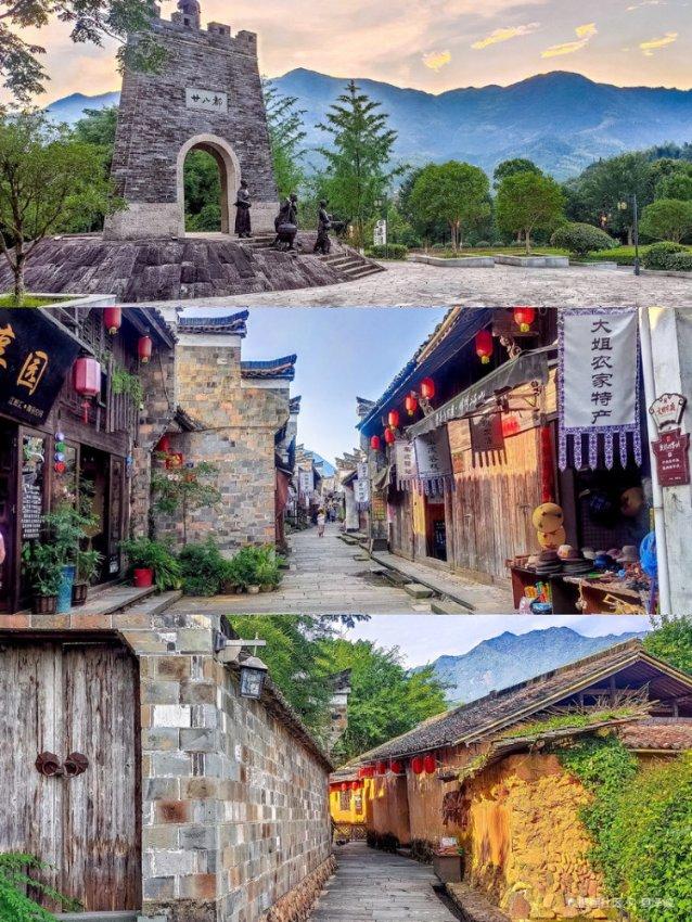 动物帮帮忙保卫家园