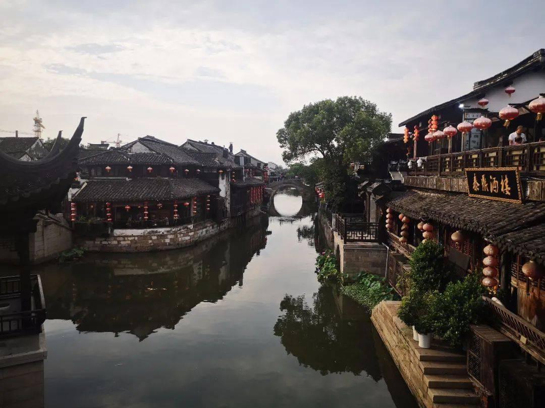张柏芝如今又引发四胎怀疑，这次的锅要轮到谁来背？游戏画面