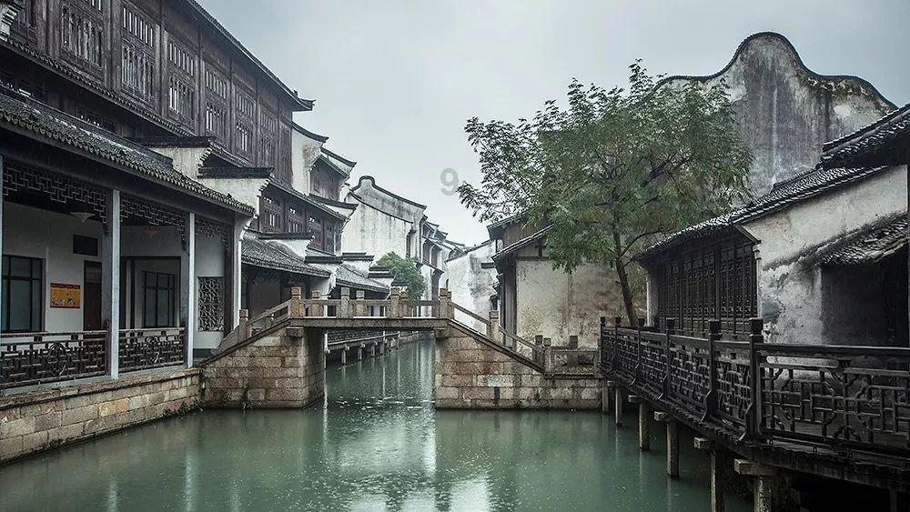 小狗比小鹿先跑十米你说小路能赶上小狗吗？游戏画面