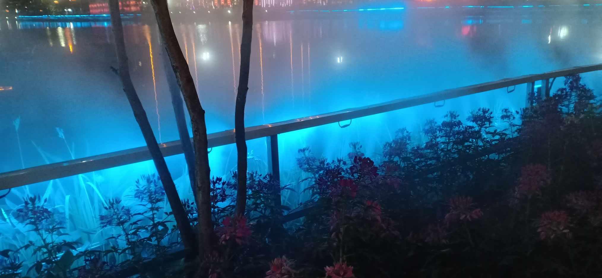 动物帮帮忙保卫家园